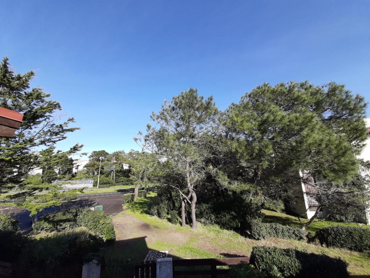 Maison Renovee Avec Terrasse A 700M Des Plages, Marche Et Activites - Tennis Et Piste Cyclable A 10M - Fr-1-239-385 セノッス - ル・ペノン エクステリア 写真